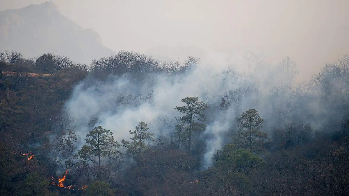 Incendios forestales en SLP (3)